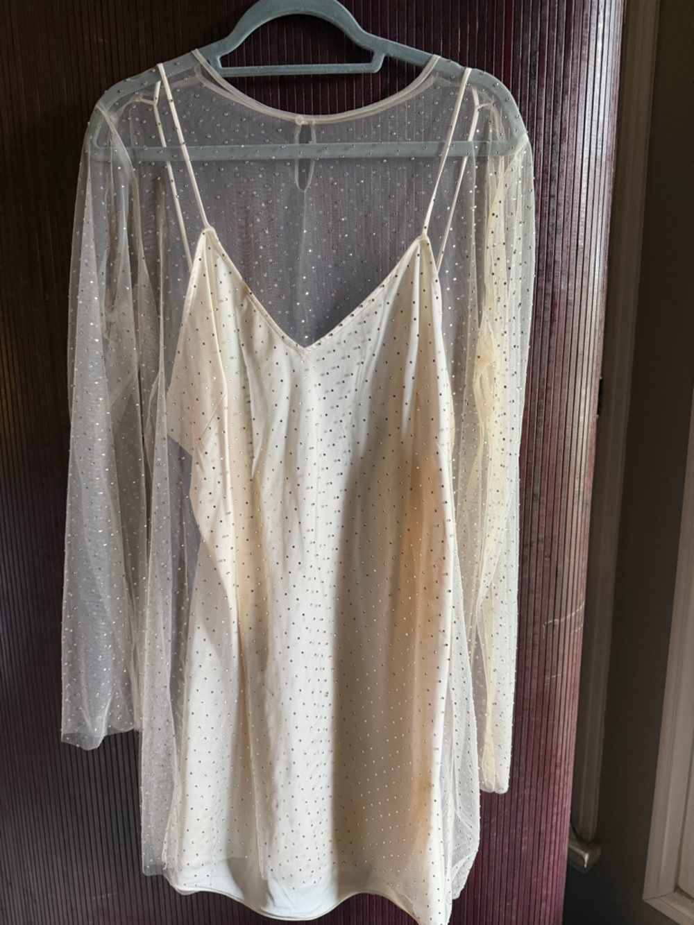 Zara Cream Sheer Sparkle Slip Dress with Mesh Overlay